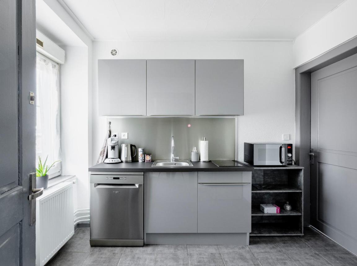 Myhome Basel Rc44B Saint-Louis (Haut-Rhin) Exterior foto